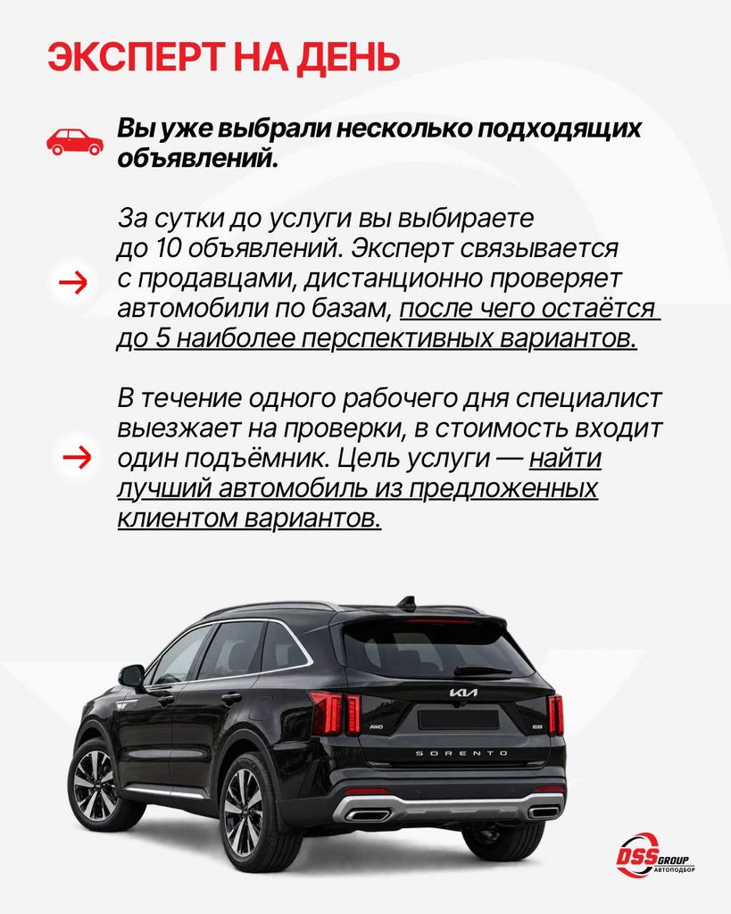 эксперт на день